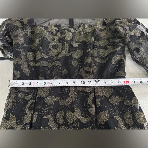 Adrianna Papell Black and Gold Lace Mesh Dress Long Sleeves Gown Size 12 - Picture 8 of 16